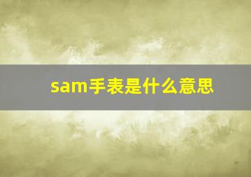 sam手表是什么意思