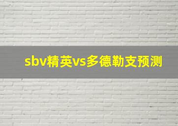 sbv精英vs多德勒支预测