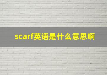 scarf英语是什么意思啊