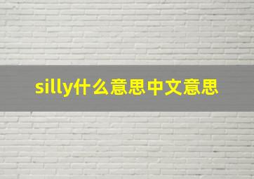 silly什么意思中文意思