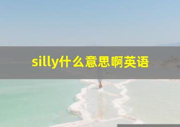 silly什么意思啊英语