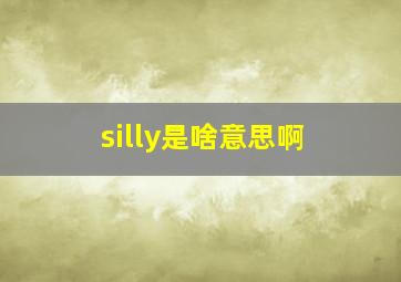 silly是啥意思啊