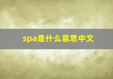 spa是什么意思中文