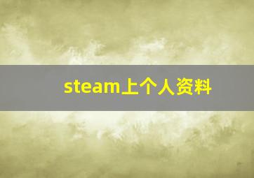 steam上个人资料