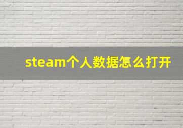 steam个人数据怎么打开