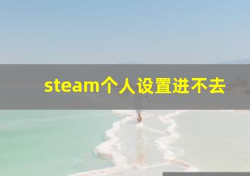 steam个人设置进不去