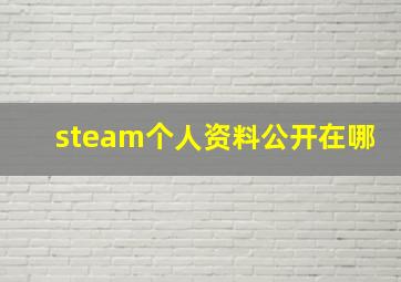 steam个人资料公开在哪