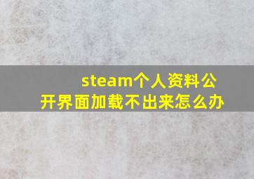 steam个人资料公开界面加载不出来怎么办