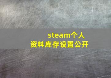 steam个人资料库存设置公开