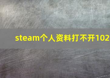 steam个人资料打不开102