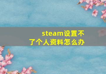 steam设置不了个人资料怎么办