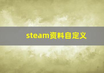 steam资料自定义