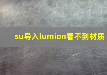 su导入lumion看不到材质