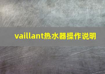 vaillant热水器操作说明