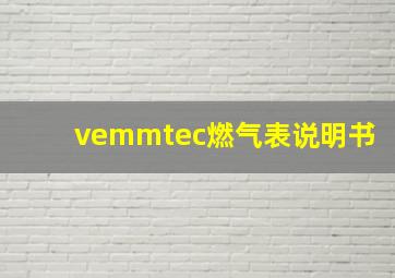 vemmtec燃气表说明书