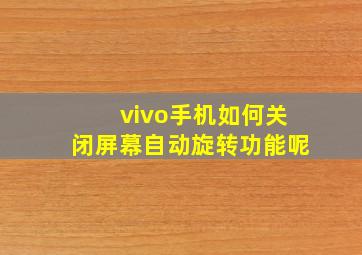 vivo手机如何关闭屏幕自动旋转功能呢