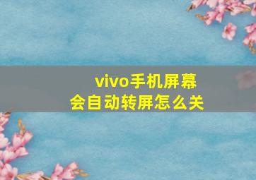 vivo手机屏幕会自动转屏怎么关