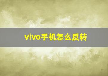 vivo手机怎么反转