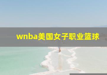 wnba美国女子职业篮球