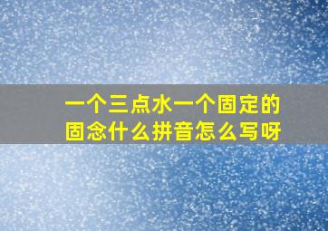 一个三点水一个固定的固念什么拼音怎么写呀