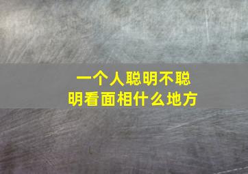 一个人聪明不聪明看面相什么地方