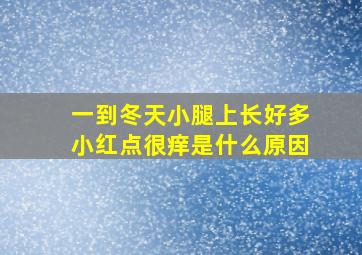 一到冬天小腿上长好多小红点很痒是什么原因