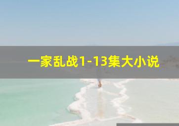 一家乱战1-13集大小说