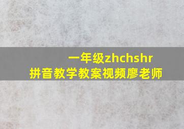 一年级zhchshr拼音教学教案视频廖老师