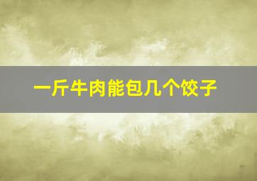 一斤牛肉能包几个饺子