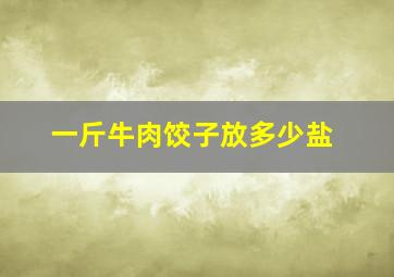 一斤牛肉饺子放多少盐