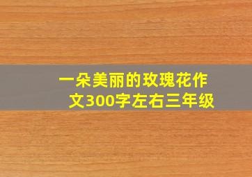 一朵美丽的玫瑰花作文300字左右三年级