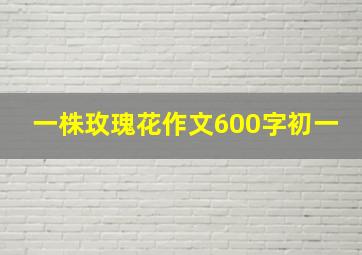 一株玫瑰花作文600字初一