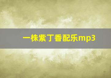 一株紫丁香配乐mp3