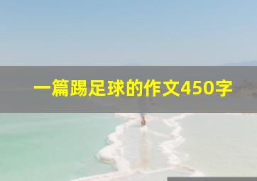 一篇踢足球的作文450字