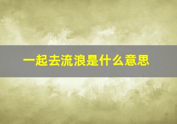 一起去流浪是什么意思