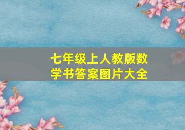 七年级上人教版数学书答案图片大全