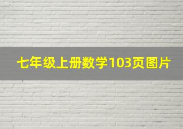 七年级上册数学103页图片