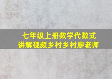 七年级上册数学代数式讲解视频乡村乡村廖老师