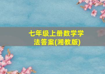 七年级上册数学学法答案(湘教版)