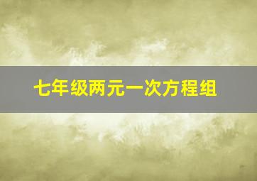 七年级两元一次方程组