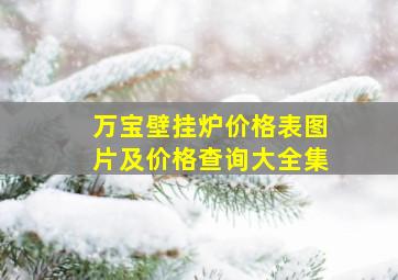 万宝壁挂炉价格表图片及价格查询大全集