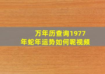 万年历查询1977年蛇年运势如何呢视频