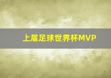 上届足球世界杯MVP