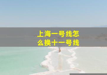 上海一号线怎么换十一号线