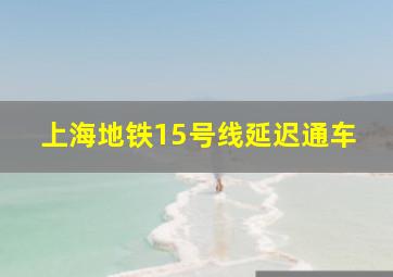 上海地铁15号线延迟通车