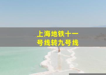 上海地铁十一号线转九号线