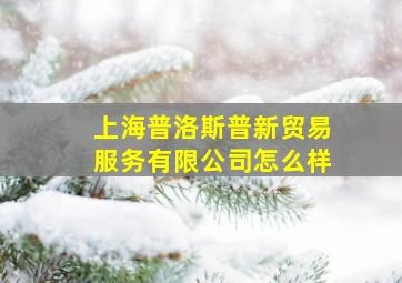 上海普洛斯普新贸易服务有限公司怎么样