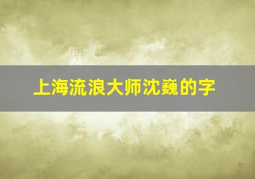 上海流浪大师沈巍的字