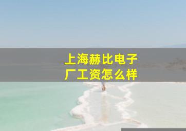 上海赫比电子厂工资怎么样