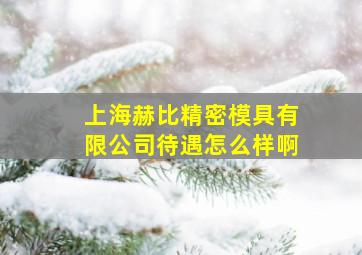 上海赫比精密模具有限公司待遇怎么样啊